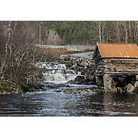 Glomset 2019