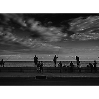 Anglers at Malecon- Havana