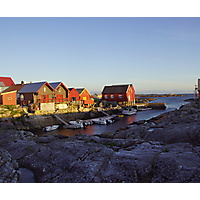 Evy Mari Velsvik