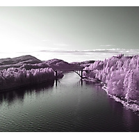 Skodjebrua (IR) (Manuela)