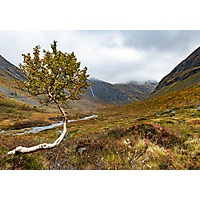 Hanne Carine Jensen,  Høst i Valldal