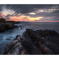 Sommer på Alnes - Monica Elise Vestre