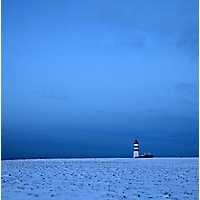 Blåtime Alnes - Monica Elise Vestre