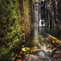 Hundåna/Hundågjølet, Krogsætra - Monica Elise Vestre