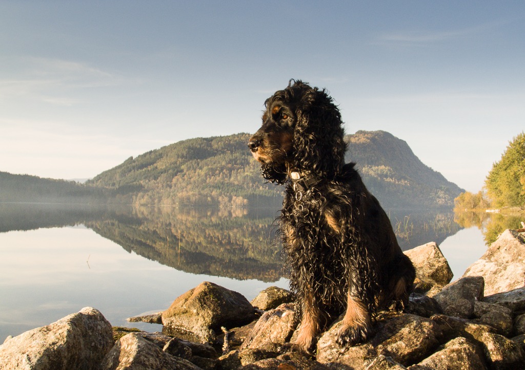 Trixie i froskespektiv