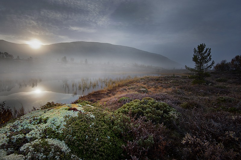 Medlemsmøte August