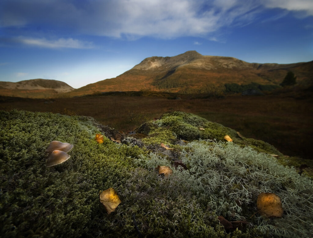 Høstfoto…noen små tips