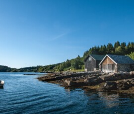 |Nedreskodje