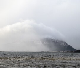 Lepsøy