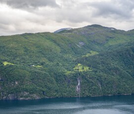 Skotet
